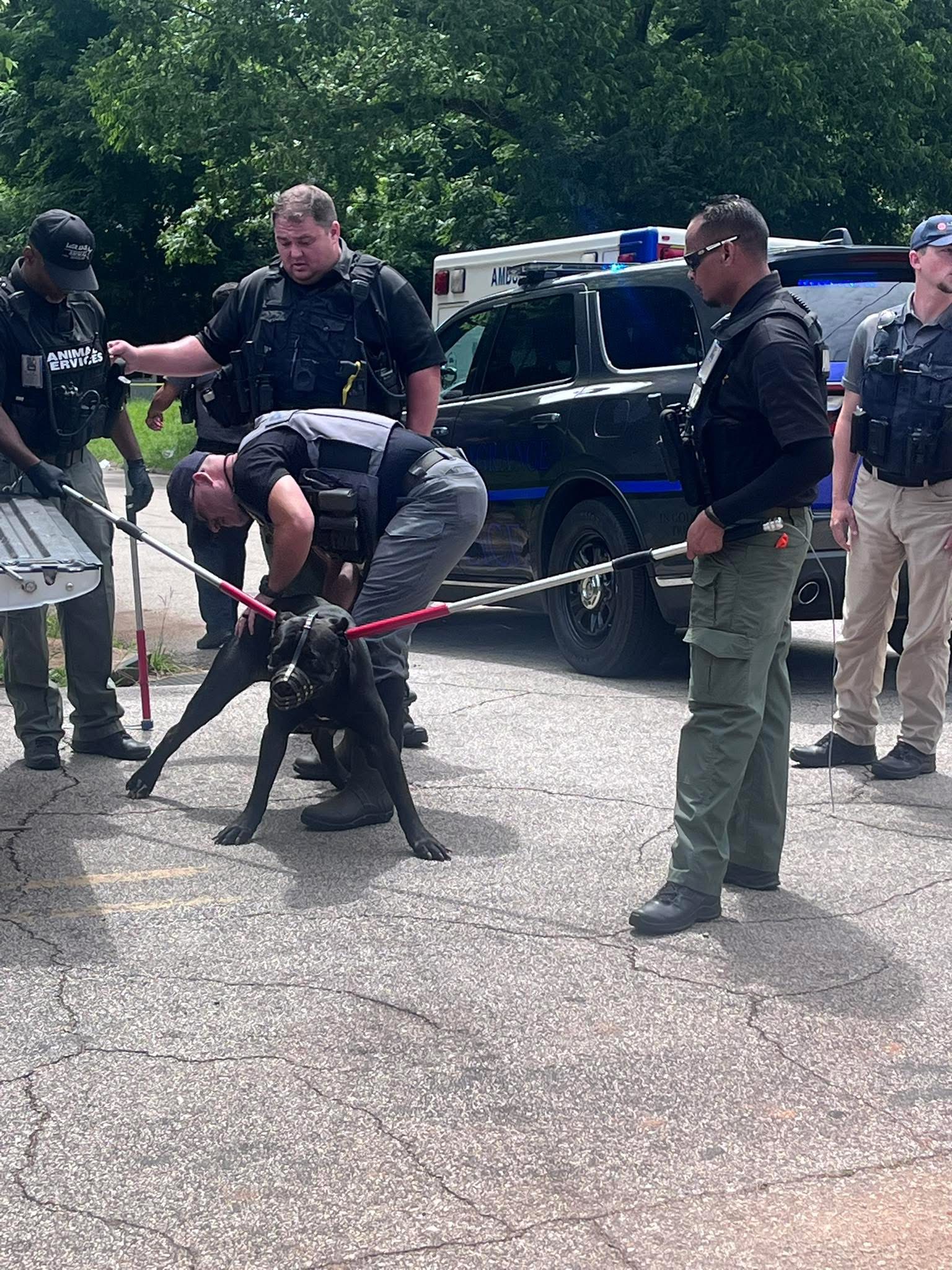 LaGrange Woman Mauled to Death in Vicious Dog Attack; Community Mourns Loss of Theresa Patterson