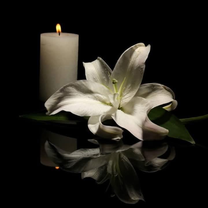 Remembering Lynn Nuñez Whitlock: Founder of Mothers On a Mission International Leaves a Global Legacy of Love and Empowerment