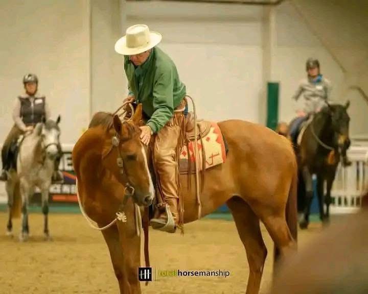 Our Deepest Condolences to Buck Brannaman and Family on the Loss of Their Beloved Horses