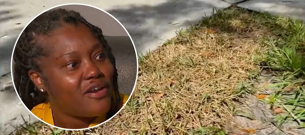 Florida Mom Jailed for 7 Days Over HOA Dispute About Lawn and Mailbox ,Riverview Woman Arrested in Front of Daughter After Missed Court Date on Minor Violations